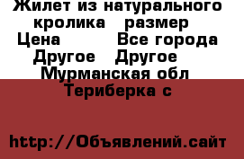 Жилет из натурального кролика,44размер › Цена ­ 500 - Все города Другое » Другое   . Мурманская обл.,Териберка с.